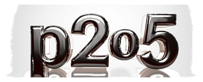 p2o5 logo